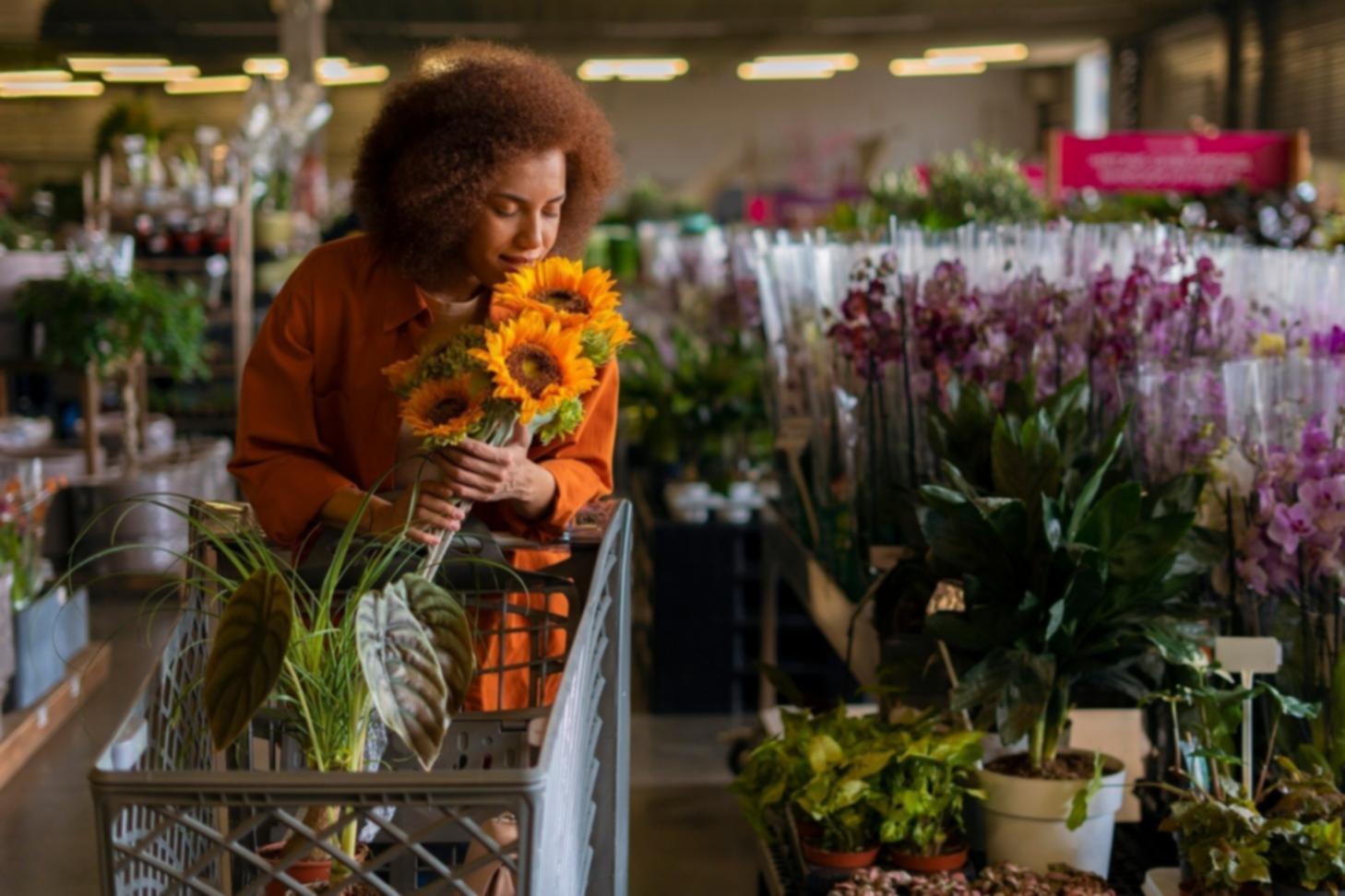 Seasonal care documentation for local climate