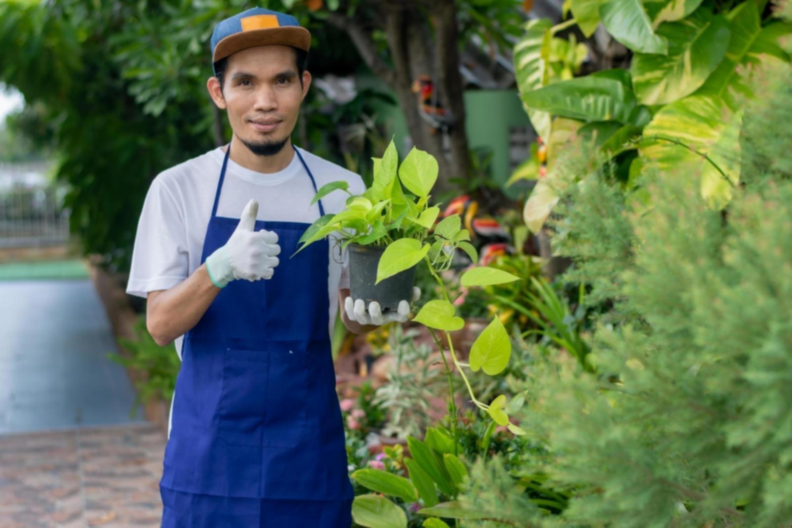 Flower care consultation documentation and planning